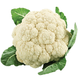 Seasonal Veggies
